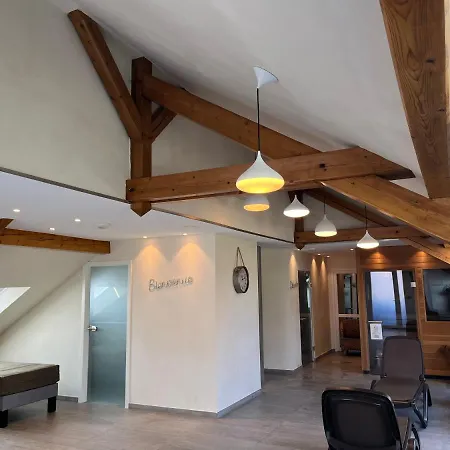 Et Restaurant Au Chasseur Отель Birkenwald