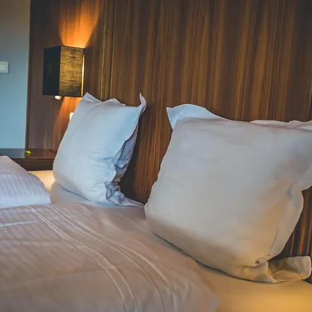 Hotel Et Restaurant Au Chasseur Birkenwald