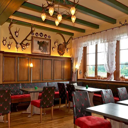 Hotel Et Restaurant Au Chasseur Birkenwald