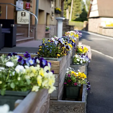 Hotel Et Restaurant Au Chasseur