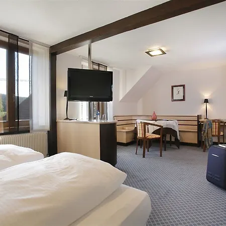 Et Restaurant Au Chasseur Hotel 3*