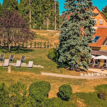 Et Restaurant Au Chasseur 3* Birkenwald