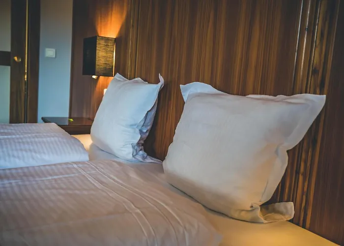 Hotel Et Restaurant Au Chasseur Birkenwald