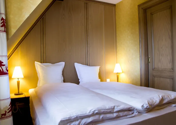 Et Restaurant Au Chasseur 3*