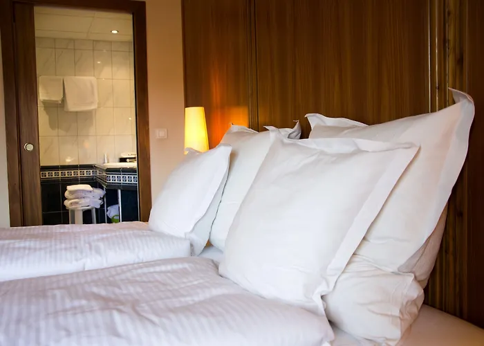 Hotel Et Restaurant Au Chasseur