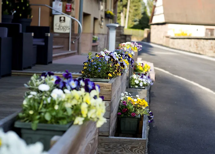 Hotel Et Restaurant Au Chasseur